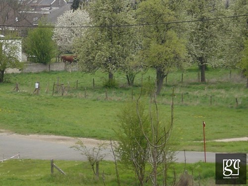 jardin-haccourt-017-copier_1