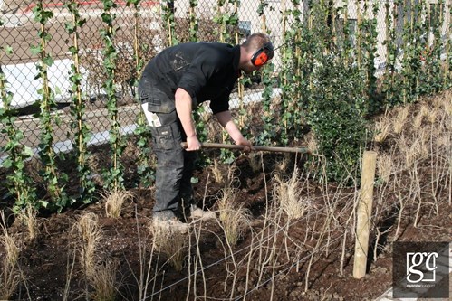 photo-357-copier_1 (Copier)