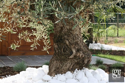 s16-copier_1 (Copier)