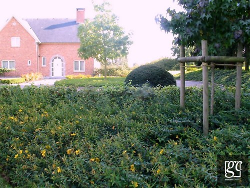 jardin-flemalle-009-copier_1