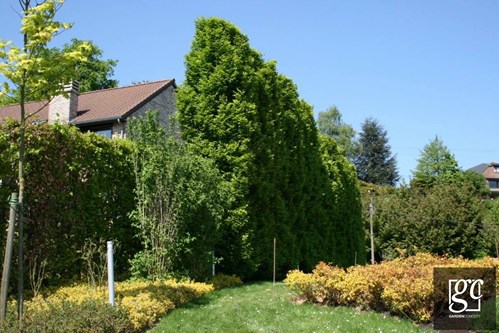 jardin-roclenge-014_1 (Copier)