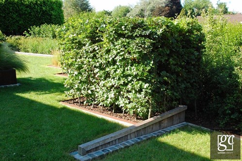 dsc-0258-copie-copier_1 (Copier)