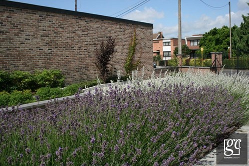 s08-copier_1 (Copier)