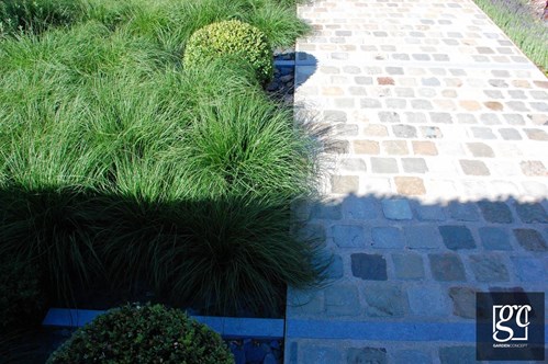 dsc-0244-copie-copier_1 (Copier)