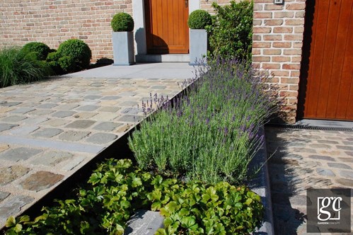 dsc-0246-copie-copier_1 (Copier)