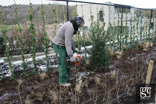 photo-352-copier_1 (Copier)