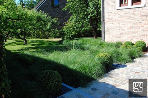 dsc-0241-copie-copier_1 (Copier)