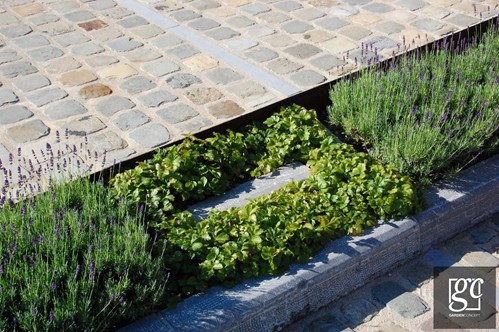 dsc-0243-copie-copier_1 (Copier)