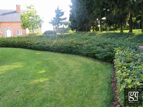 jardin-flemalle-006-copier_1