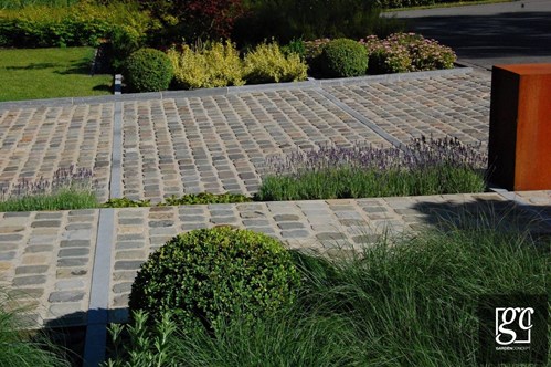 dsc-0251-copie-copier_1 (Copier)