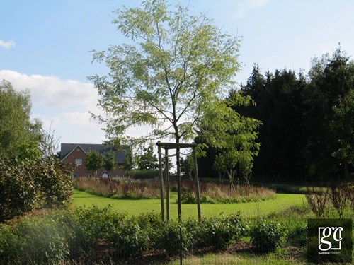 jardin-flemalle-019-copier_1