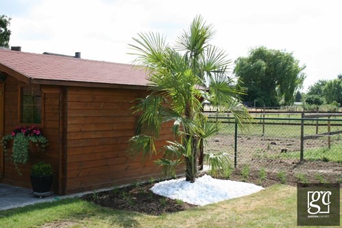 s15-copier_1 (Copier)