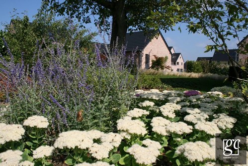 photo-045-copie-copier_1 (Copier)