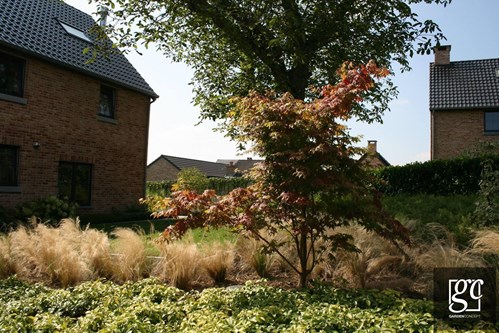 photo-018-copie-copier_1 (Copier)