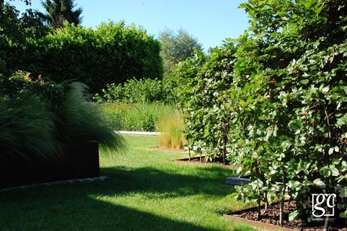 dsc-0261-copie-copier_1 (Copier)