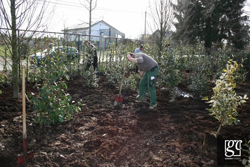 photo-355-copier_1 (Copier)