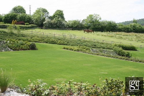 img-6368-copie-copier_1 (Copier)